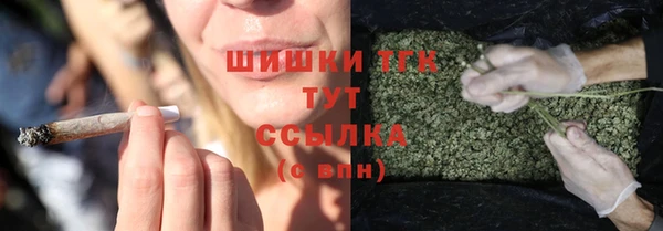 тгк Абинск